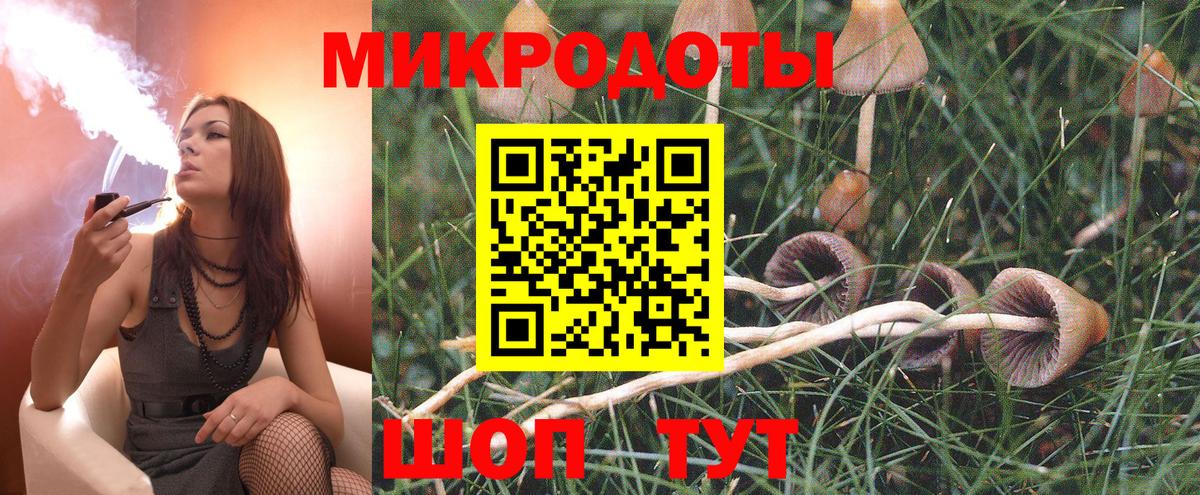 Псилоцибиновые грибы Psilocybe Алушта
